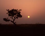 sunset in The Dogon, West Africa